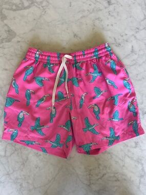 Chubbies 5.5 inch lined swim trunks
